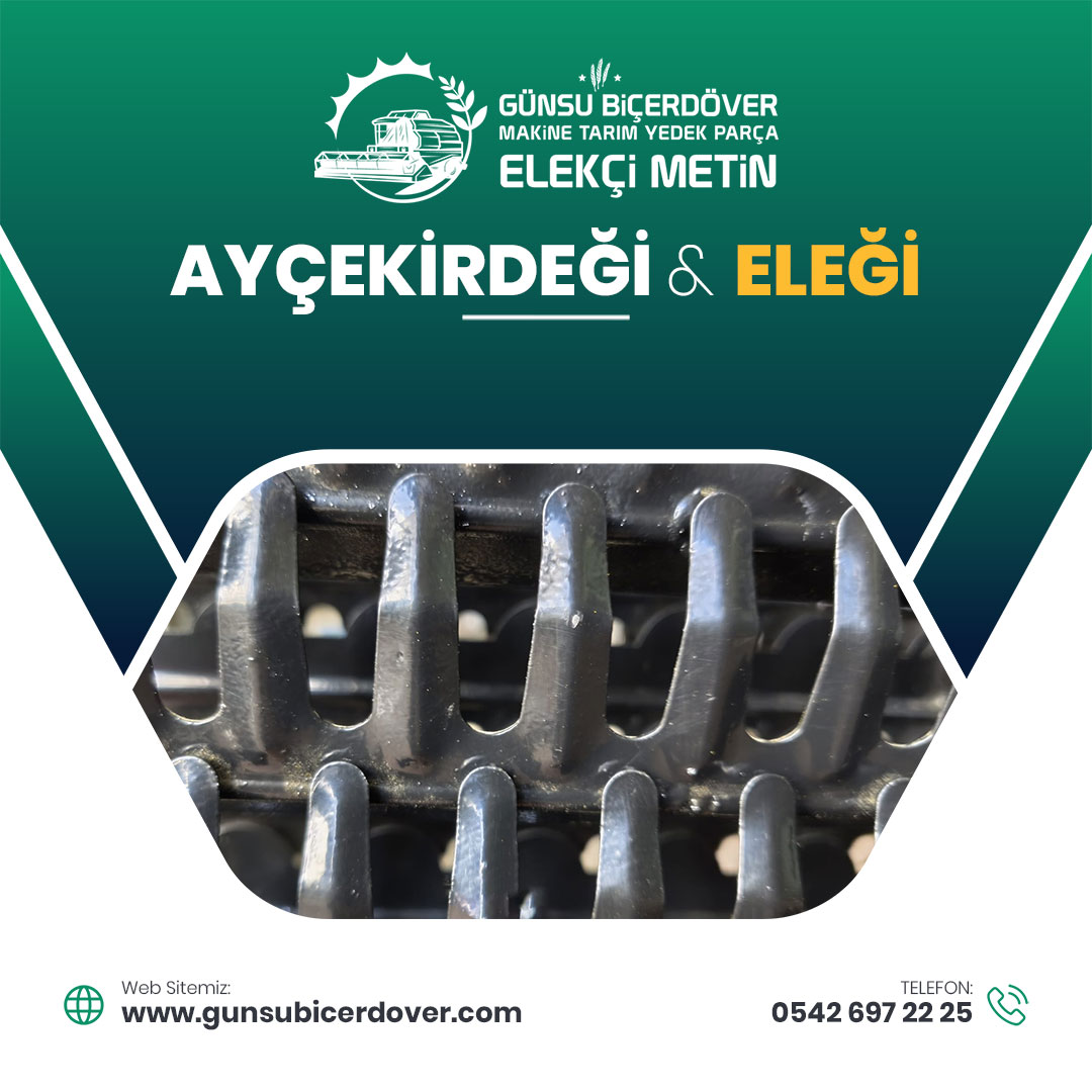 AYÇEKİRDEĞİ ELEĞİ