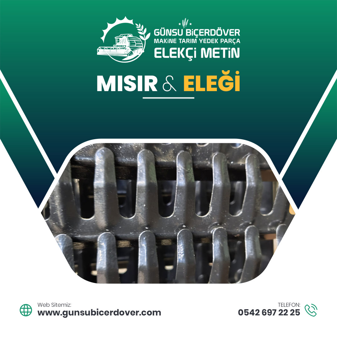 MISIR ELEĞİ